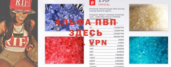 сатива Вяземский