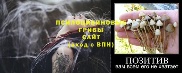 сатива Вяземский