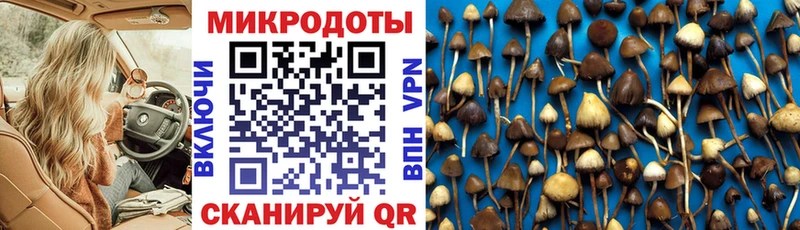 хочу наркоту Северодвинск Псилоцибиновые грибы Magic Shrooms